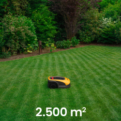 Dokonal� vzh�ad tr�vnika